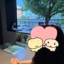 W. 소그노 웨딩밴드 수령 후기｜블루다이아·인그레이빙·평생 AS 총정리 (지인할인 코드⭕️)
