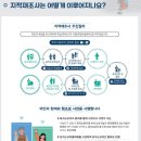 둔배미 이미지