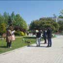 안중출장소 이미지