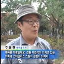 노원구, 서울시 자치구 최초 갤러리파크 탄생 - 등나무 근린공원의 변신 이미지