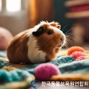 동물보육원 대전서구갈마지부 | 대전 괴정동 애견호텔 동물보육원 대전서구갈마지부 비용 시간 위치