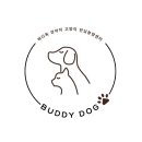 버디독 강아지분양 고양이분양 안심분양센터 인천점 이미지