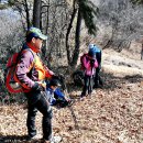 여수 235 이미지