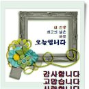 내곡느티나무쉼터 네이버블로그