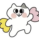 루멘파트너스 이미지