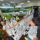 흔한물방