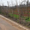 부춘농장 이미지