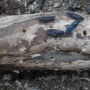 농업회사법인(주)엔토모 이미지