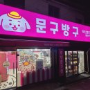 다이소철원