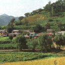 하천리-3 이미지