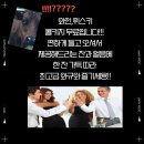 동남(아) | 청주 동남지구 청모 장소 추천, 소고기 맛집 - 삼사월 다녀온 후기