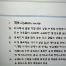 개복치 학명은? 이미지