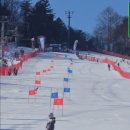 그린공단로 | "강풍도 막지 못한 열기" 모나용평 메가그린 한국대학 스키연맹 오픈레이싱 유스챔피언십 스키대회 장내...