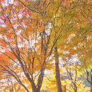 주성상사 이미지