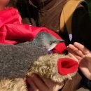 푸른 둥지 이미지