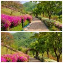 병목안 캠핑장 이미지