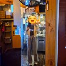 강동-천호-1351 | 천호역맛집 곱창전골추천 [대팔이네곱창 천호본점]