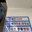 더펫샵만평점