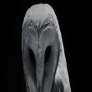 국제비디오 이미지