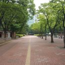 양재2동주민센터 이미지