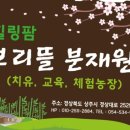보리뜰