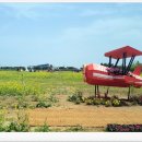인천국제공항 하늘정원 내 이미지