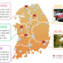 알토란사과체험마을 이미지