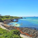 코코애월 이미지