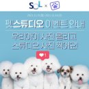 펫(PET)과 함께 이미지