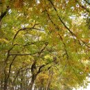 풍성한목장 이미지