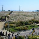 하늘공원 이미지