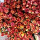 가람유치원(유치원) 이미지