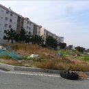 포항시남구51 이미지