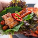 쭈꾸미도사 이미지