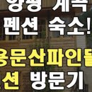 파인뜰 펜션 이미지