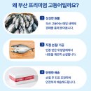 믿음반찬 | 부산 다대포 국산 자반 참고등어 10미 세트 솔직 후기｜집밥 반찬으로 딱이에요