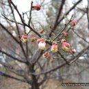 WA, 와 모텔 이미지