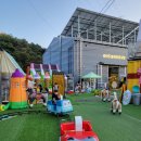 루덴스(66) 이미지