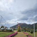 양산 황산공원 국화축제 이미지