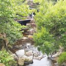 계곡가든 이미지