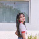 프림로즈