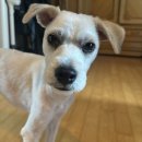 동삭동 소로 3-408 | 나사람아니야 나쓰레기야