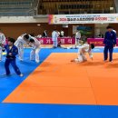 미르유도체육관 이미지