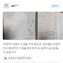 다원이솔