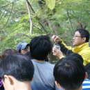 위림초등학교 이미지