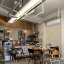 양말코히 이미지