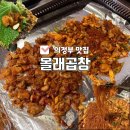 올래야채곱창 - 의정부시 둔야로17번길 23 | 의정부 현지인 맛집 올래곱창 본점 야채곱창,알곱창 솔직 후기