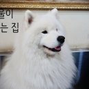 겨울이머무는집 티스토리
