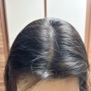 토닉 이미지