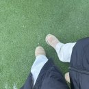 새희망약국 | 마운자로 내돈내산 후기 - 3주차 /4주차 -3kg